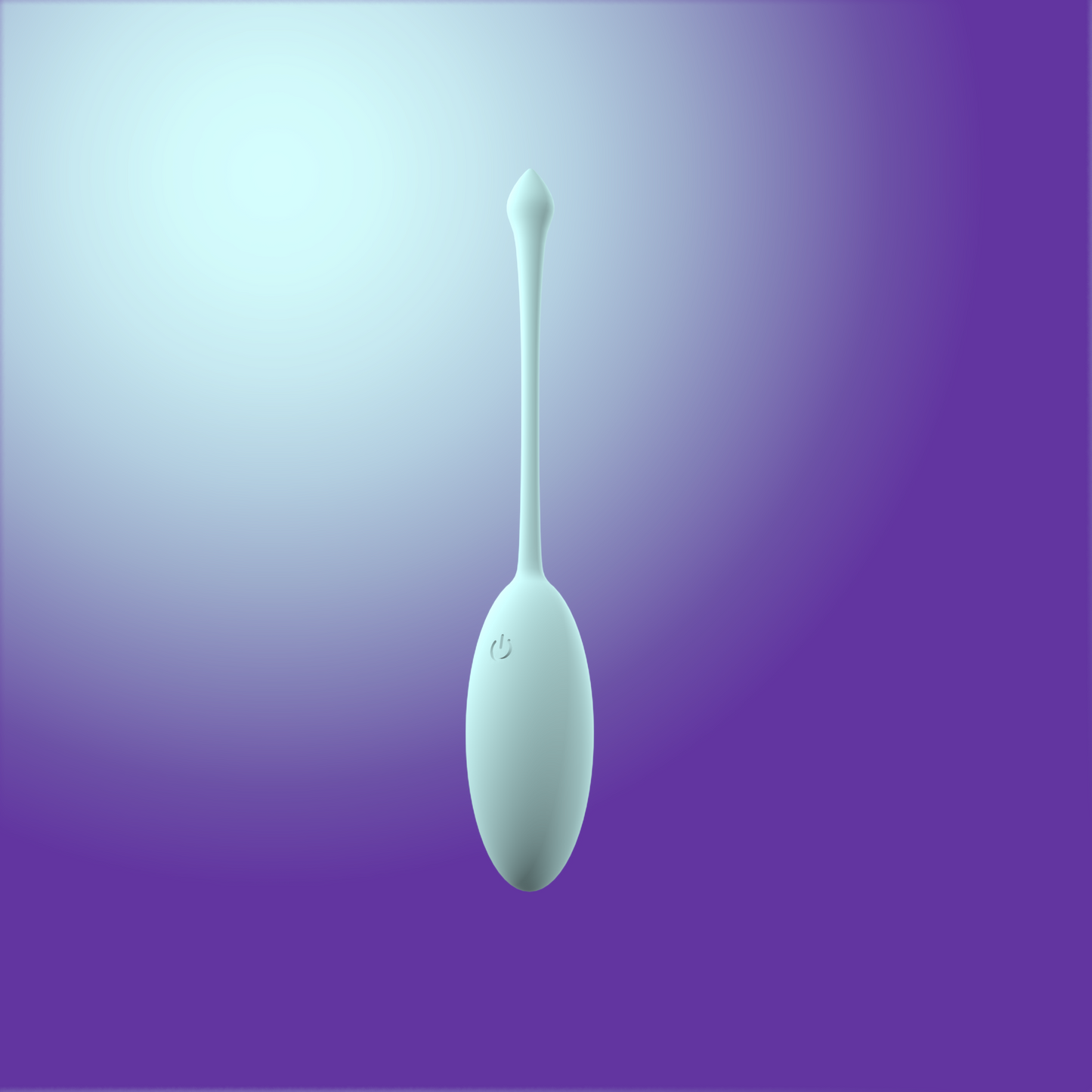 Remote Control Vibrating Egg