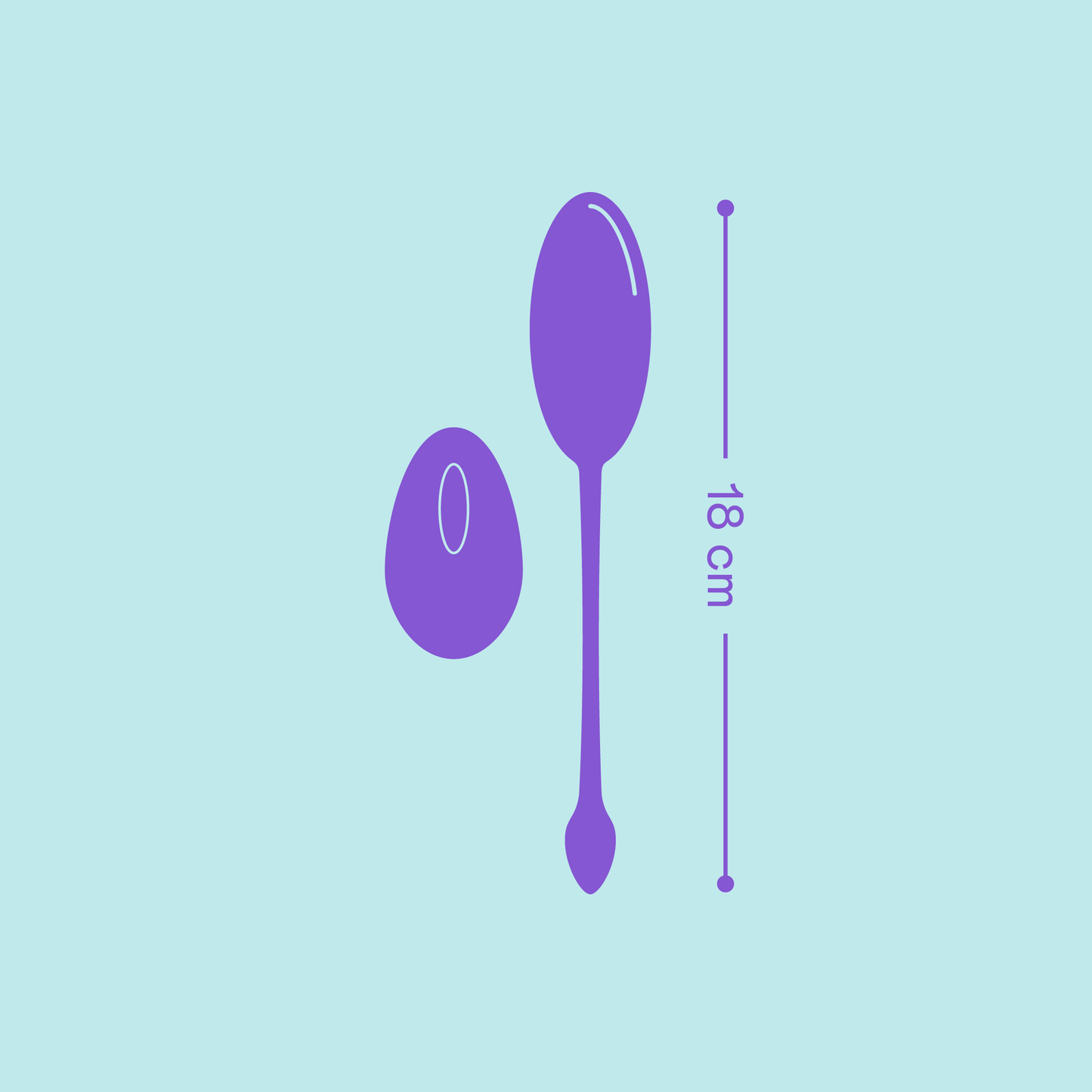 Remote Control Vibrating Egg